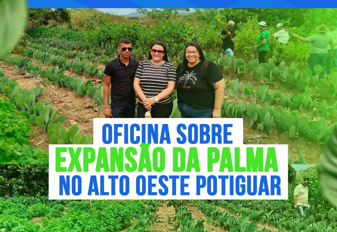Oficina sobre Expansão da Palma no Alto Oeste Potiguar